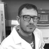 Steven F. Merkel, Ph.D.