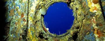 How to make a fake coral reef. What Is An Artificial Reef