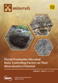 Online metal detecting forums are great places to get help with relic identification. Minerals June 2019 Browse Articles