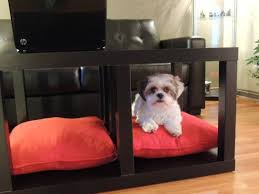 Hello there and nice to meet you! Coffee Table For Me And My Dog Ikea Hackers Coffee Table Dog Bed Ikea Coffee Table Ikea Hackers