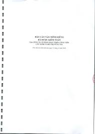 BÁO CÁO TÀI CHÍNH RIÊNG - ĐÃ ĐƯỢC KIỂM TOÁN - Của CÔNG ...