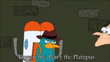 Perry the platypus face mask, phineas and ferb fashion mask, reusable, washable, cool design, very comfortable, 100% cotton inside gimmeshelterinc. Perry The Platypus Gifs Tenor