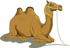 Give our stunning animation templates a try! Camel 1 Free Vector In Open Office Drawing Svg Svg Vector Illustration Graphic Art Design Format Format For Free Download 160 08kb
