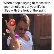 Fruit Of The Spirit Funny Christian Memes Christian Jokes Bible Humor