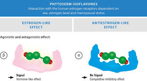 Image result for Selective Estrogen Receptor Modulator