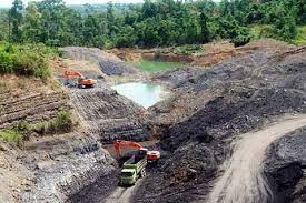 Bagian ini membahas produksi, ekspor dan konsumsi domestik batubara serta menggambarkan perspektif masa depan. Beritahukum Com Selama 4 Tahun Beroperasi Pt Harindo Wahana Diduga Tidak Bayar Pajak