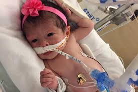 Fundraiser for Rose Wilson by Sariah Waldron : In Memory of Kaya Wilson