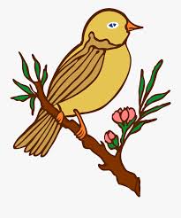 Clipart Perched Bird Colour Flower And Bird Drawing Free Transparent Clipart Clipartkey Do not forget to also post other drawing ideas that we have presented. clipart perched bird colour flower
