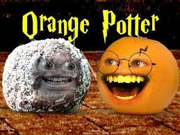 Pin On Potter Land