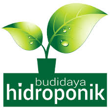 Home » sistem hidroponik » mengenal lebih dekat apa itu hidroponik. Apa Itu Hidroponik Sarjana Pertanian