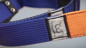 Das halsband ist durch sein material sehr. Wowwow Hundehalsband Mit Integrierter Leine Schwarz Dogandliving Gmbh