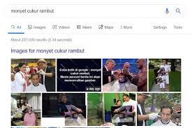 Kami akan mengulasnya bagi anda. Ketik Monyet Cukur Rambut Di Google Muncul Gambar Jokowi Jangan Gusar Halaman All Kompas Com