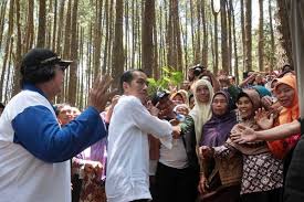 Berbagai tempat wisata di daerah bogor. Menakar Potensi Hasil Hutan Bukan Kayu Ekonomi Bisnis Com