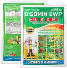 Bisomin 6WP