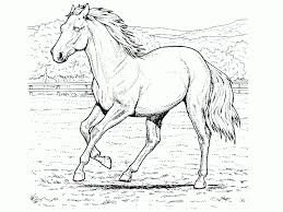 Wir haben für sie und ihre kinder die schönsten malvorlagen mit pferden zusammengestellt. 337 Ausmalbilder Pferde Zum Ausdruck Kostenlose Malvorlagen Pferde