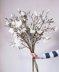 For protection, it arrives completely flat so don't be disappointed. Stunning Faux Magnolia Stems Faux Flowers Faux Flower Arrangements Artificial Flowers