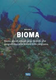 Bergabung dan dapatkan 2011 teman dan jempol on facebook. Bagaimana Cara Membedakan Antara Bioma Dan Ekosistem Di Lingkungan Pesisir Berikan Contoh Brainly Co Id