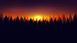 Bosque Naturaleza Oscuro Sol Ilustraciones Fondo De Pantalla Hd Wallpaperbetter Descargar 1366x768 para pc, ordenador portátil, ipad, mac, ios, android, fondos de escritorio. bosque naturaleza oscuro sol