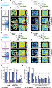 Penantian selama 3 minggu bakal berakhir. Cerebellar Modulation Of The Reward Circuitry And Social Behavior Science