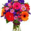 Best voted florists in lafayette, louisiana. Top 992 Avas Flowers Reviews Page 7