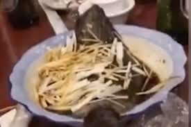 We have tips and top recipes for frying, grilling, poaching, and baking fish. Bizarre Moment Fish Comes Back To Life On Restaurant Table Despite Being Cooked