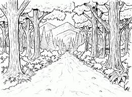 Shield yourself with a canopy of trees and enjoy exploring moss, fallen branches, leaves, mushrooms and let's not forget the wonderful forest animals. Forest Coloring Pages Printable Coloring Home