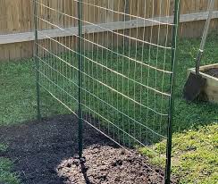 How To Make A Green Bean Trellis Using Welded Wire In 2020 Green Bean Trellis Bean Trellis Diy Garden Trellis