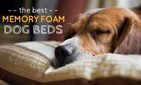 Which dogs benefit most from memory foam? 7 Best Memory Foam Dog Beds The Comfiest Bed For Your Canine