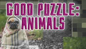 Good Puzzle Animals Steam De 75 Indirimli