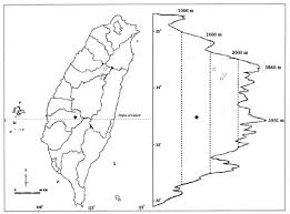 Image result for Arthraxon lancifolius