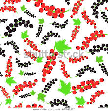 black currents background berry painted