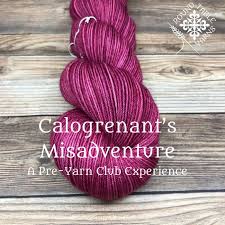 Knight Of The Lion Yarn Club Pre Club Yarn Club Lion Yarn Yarn