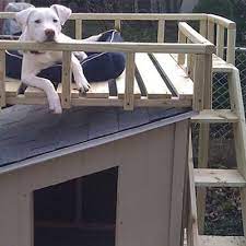 Fully enclosed sleeping area, which makes your pets feel. Dog House Ideas The Home Depot