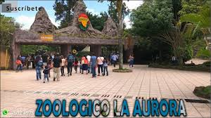 Resultado de imagen para zoológico la aurora guatemala