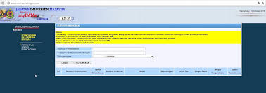 Perhaps it was the only link used to access data for almost all type of visa passes. Fake Website Http Www Eservicesimigov Com