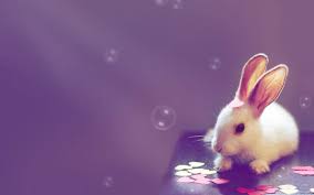 Cute Computer Wallpapers Top Free Cute Computer Backgrounds Wallpaperaccess Cute laptop wallpapers cute wallpaper for laptop 1280×960. cute computer wallpapers top free