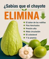 El chayote no solo es delicioso, sino también un verdadero remedio natural para  combatir múltiples dolencias comunes en adultos mayores y personas con  problemas circulatorios. Esta receta que te comparto es conocida