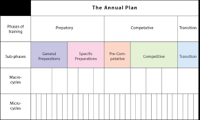 Unit 4 Periodisation