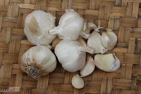 Our premium certified organic garlic is grown in wisconsin for chefs & gardeners. Hardneck Vs Softneck Garlic Choosing And Planting The Best Garlic