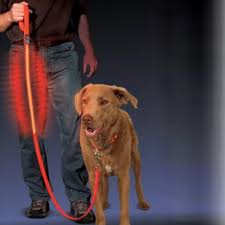 Led Lighted Dog Leash Frontgate Lighted Dog Leash Dog Leads Leash Dog Leads