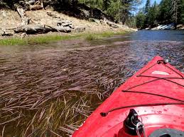 These 20 Gorgeous Lakes In Arizona Are Demanding Your Attention Arizona Lakes Lake Kayaking