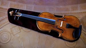 Image result for Viola