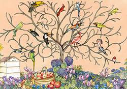 133,384 likes · 5,355 talking about this. Thinking Of You Avian Arbour E Card By Jacquie Lawson
