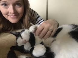 Lost black cat in Burlington, CT