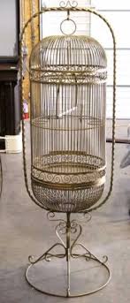 400 Bird Cages Images Bird Cages Bird Cage Cage