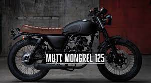Mutt Mongrel Mongrel Triumph Cafe Racer Cafe Racer Bikes
