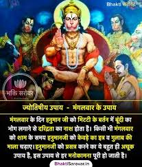 Hevan Patel (hevanpatel231)