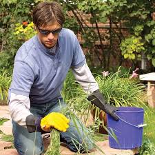 Learn how you can effectively remove yard weeds from your life. How To Get Rid Of Weeds In Your Lawn Diy Family Handyman