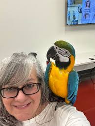 Reptile education event at Alcoa school