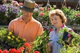 There is variation among the states in the way they have officially designated flowers to represent them. State Flowers List